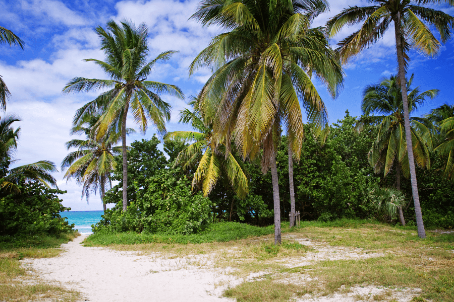 10 great day trips from havana · playas del este · cojimar and finca vigia · viñales valley · las terrazas and soroa · jibacoa · varadero · matanzas. The Ultimate Havana Travel Guide Home To Havana