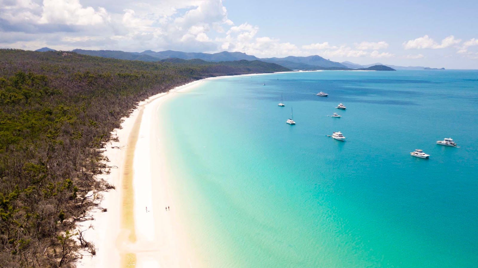 Knowing all of the steps that happen before you leave port and how long it can take will help you arrive with plenty of. The Best Whitehaven Beach Tour With Cruise Whitsundays Explore Shaw