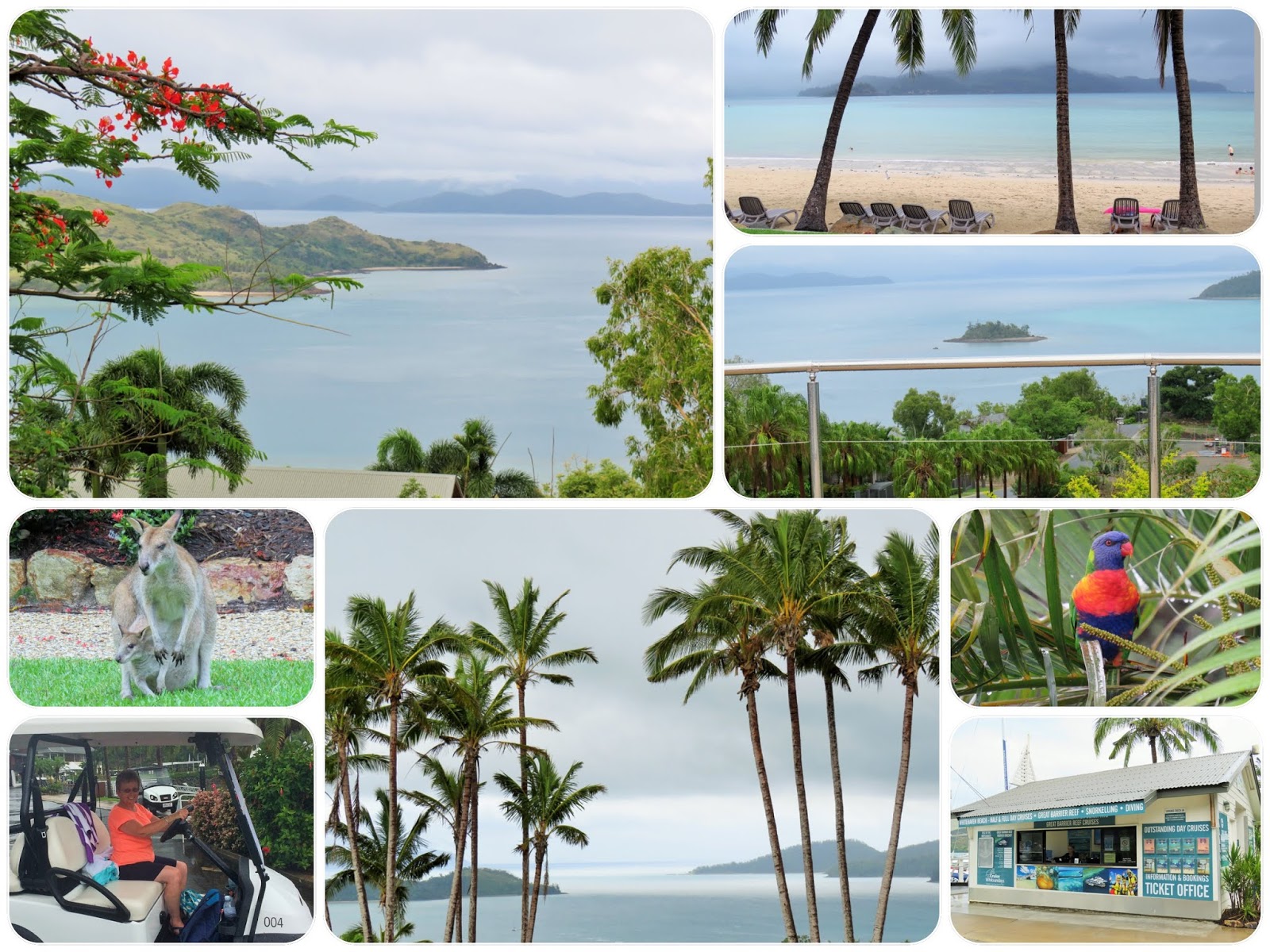 Take a day trip to hamilton island, one of the 74 island wonders of the whitsundays, located very close to the great barrier reef. Lynne S Travels Hamilton Island