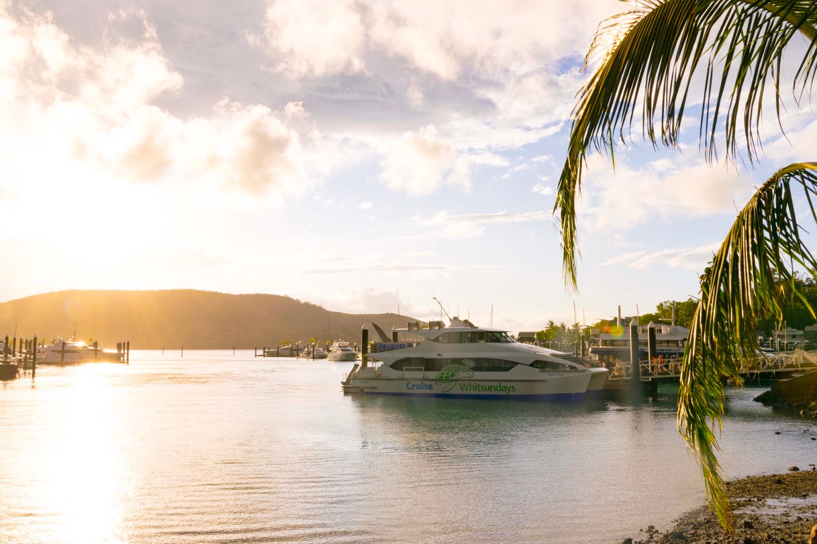 Whitsunday island resort ferry time table | hamilton island airport timetable. The Best Whitehaven Beach Tour With Cruise Whitsundays Explore Shaw