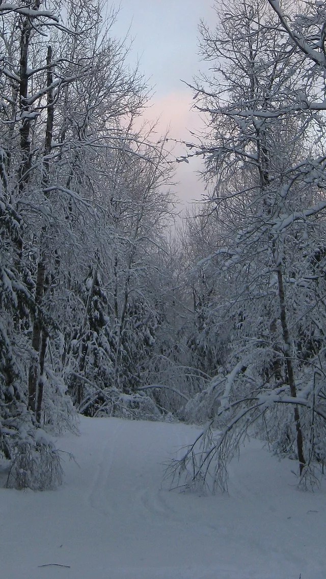 More info · current weather ». Tour Duluth Ski Festival Duluthxc 1