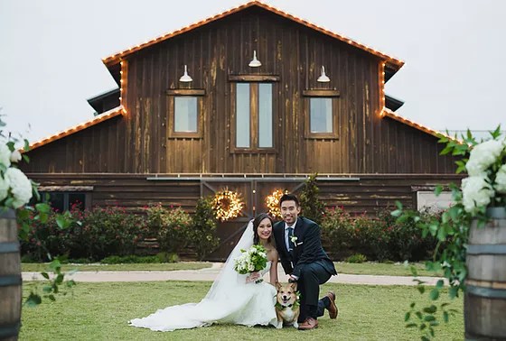 Every beaches wedding includesincluding free weddings and all custom weddings · ceremony · reception · personal wedding planning team · preparation of. All Inclusive Wedding Blue Events Co Texas