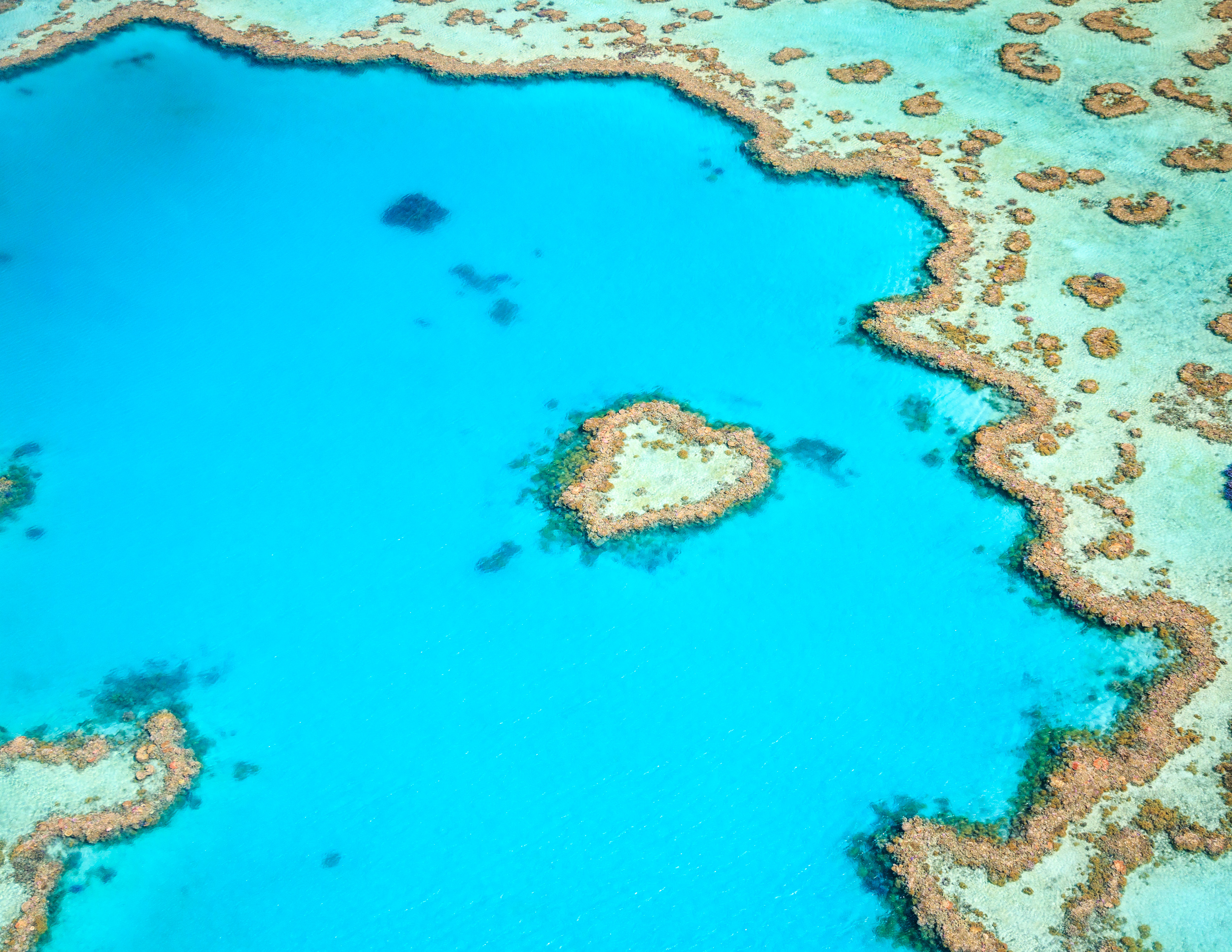 Qantas, jetstar and three other airlines fly from cairns to whitsunday island every 4 hours. Top Ten Things To Do In The Whitsundays Walk My World