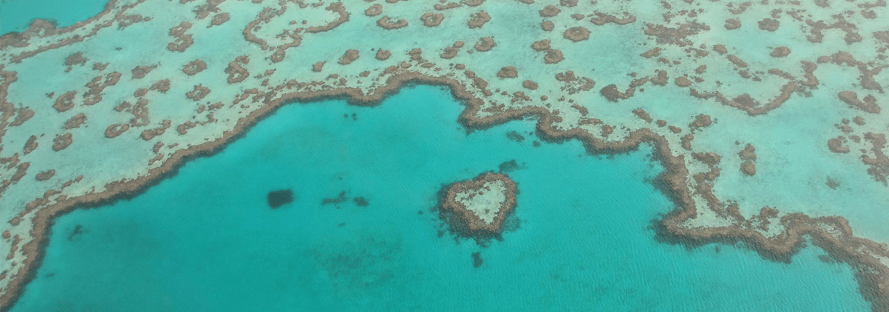 However cruise whitsundays has extremely poor service. Review Reefsleep Great Barrier Reef Ecotravelist