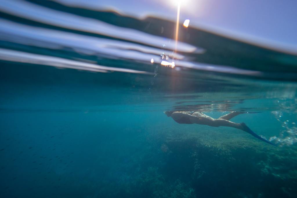 15+ Amazing Cruise Whitsundays Ferry Timetable Hamilton Island&nbsp;Holiday