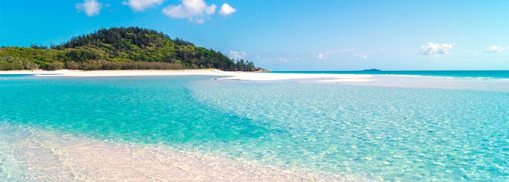 49+ Exploring Cruise Whitsundays Turtle Club&nbsp;Excursion