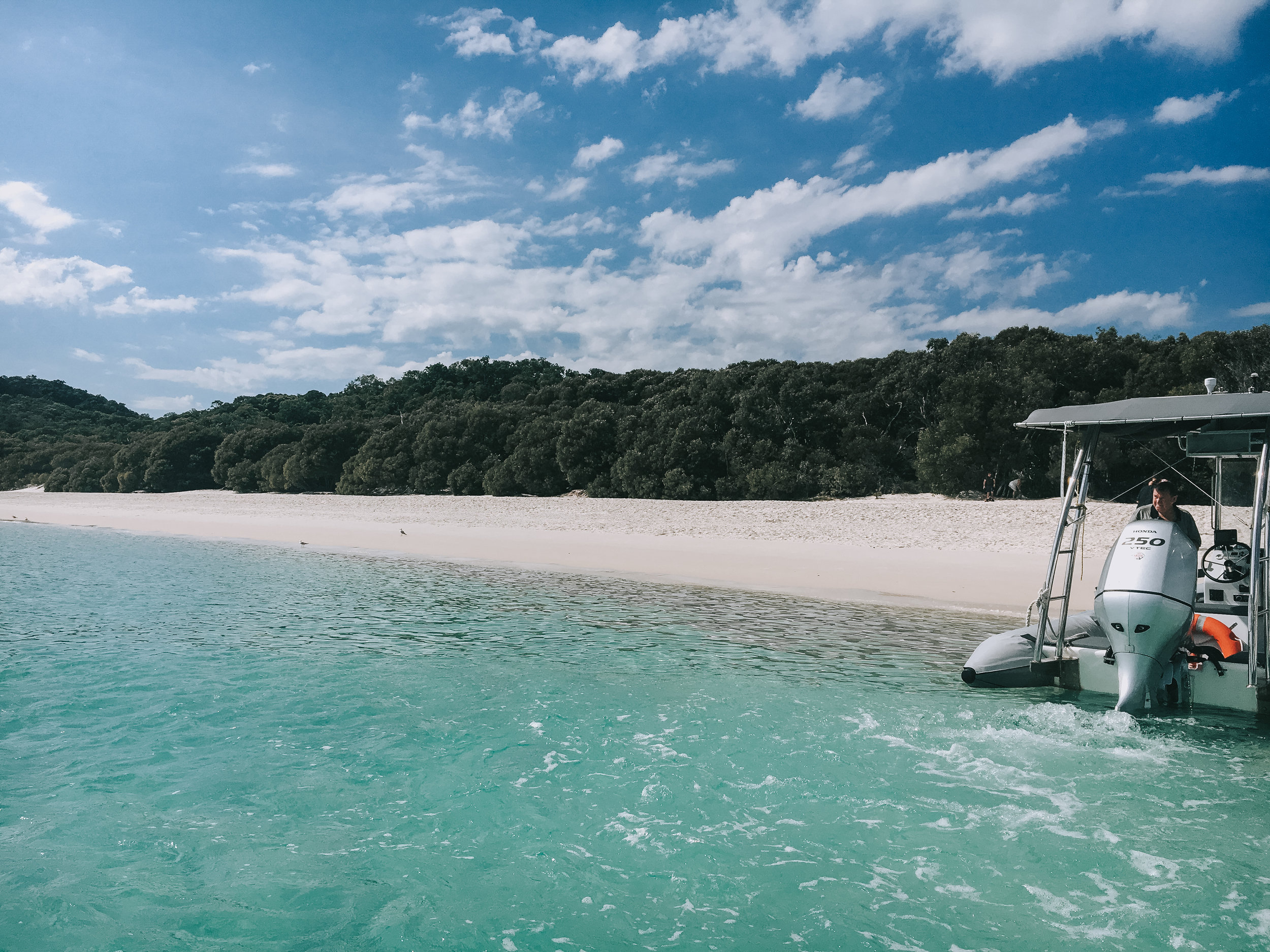 Cruise whitsundays can take you there. Solo Travel In Australia Part Iii Cairns Whitsunday Islands Melbourne Alps And Abroad