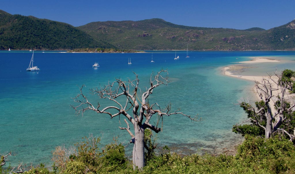 14+ Best Airlie Beach To Whitsundays Tour Sightseeing