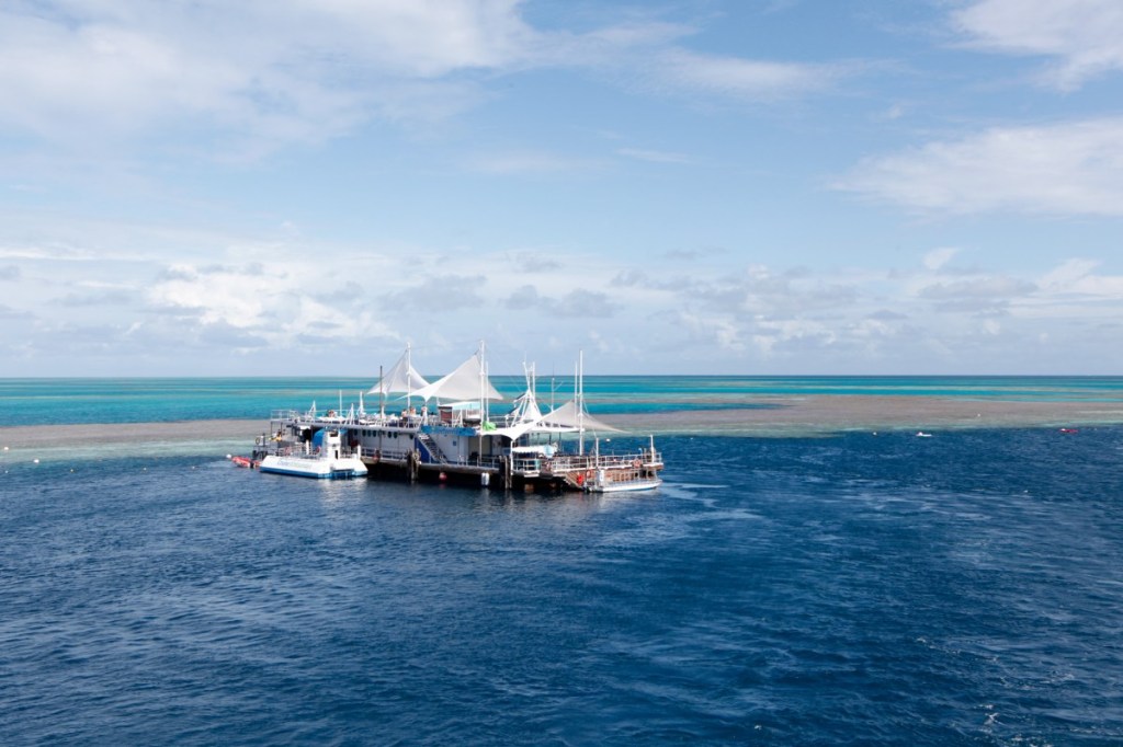 30+ Wonderful Cruise Whitsundays Ferry Time Tour