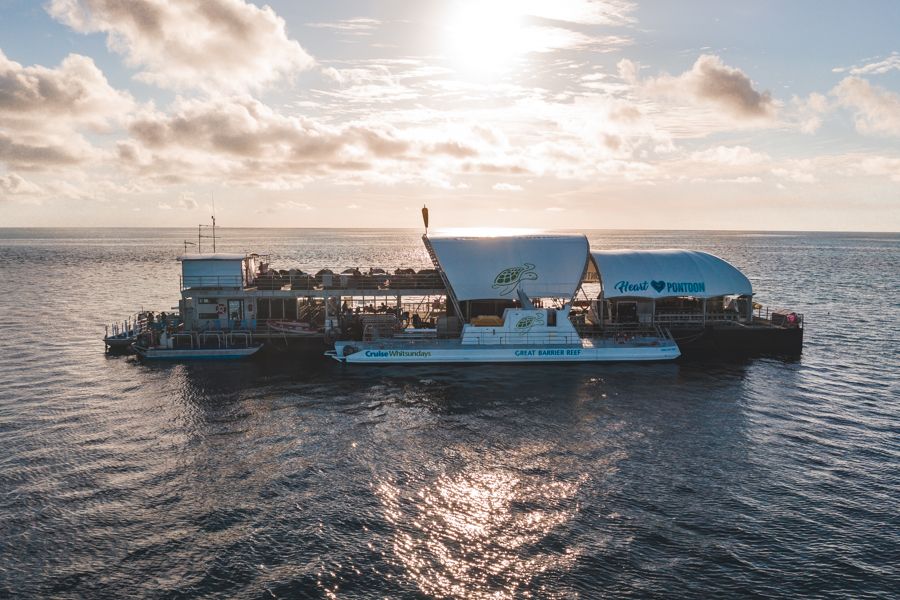 45+ Best Cruise Whitsundays Great Barrier Reef Reefsleep Experience&nbsp;Tour