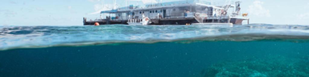 28+ Best Cruise Whitsundays Gift Voucher&nbsp;Trip