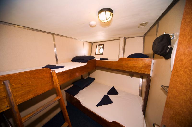 15+ Best The Clipper Boat Whitsundays&nbsp;Sightseeing