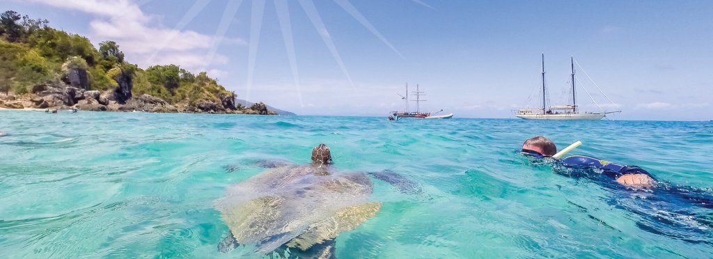 10+ Exploring Sailing Whitsundays Day Trip&nbsp;Excursion