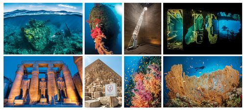 43+ Wonderful Cruise Scuba Diving&nbsp;Holiday